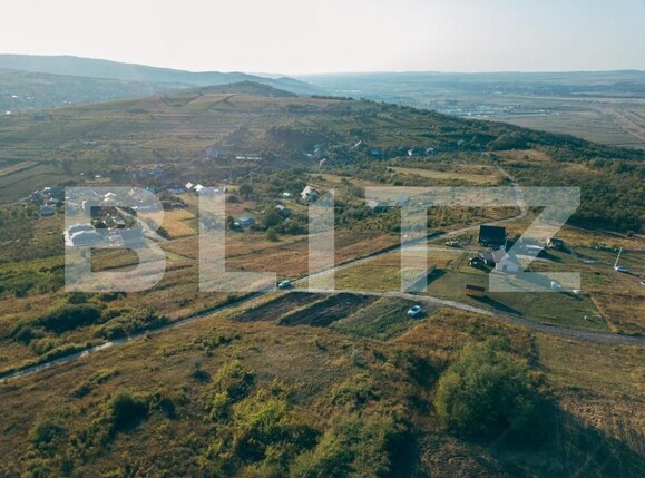 Teren de vânzare Tomesti - 146341TV | BLITZ Iași | Poza3