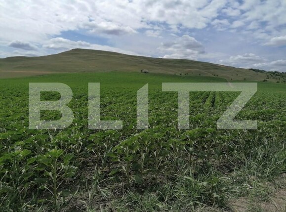 Teren de vânzare Letcani - 146342TV | BLITZ Iași | Poza2