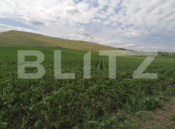 Teren de vânzare Letcani - 146342TV | BLITZ Iași | Poza1