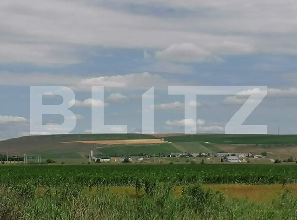 Teren de vânzare Letcani - 146342TV | BLITZ Iași | Poza3