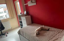 Cladire pe cadre pretabil clinica/comercial  in Bucium langa  Family Market