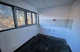 Casa la rosu 4 camere, 169mp, piata Pacurari