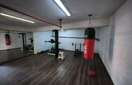 Casa la rosu 4 camere, 169mp, piata Pacurari