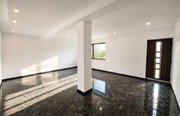 Casa la rosu 4 camere, 169mp, piata Pacurari