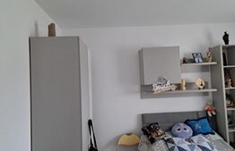 Casa plan parter, 950 mp de teren, zona Dancu