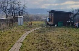 Casa plan parter, 950 mp de teren, zona Dancu