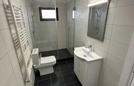 Casa de 4 camere, 135mp, zona Bucium