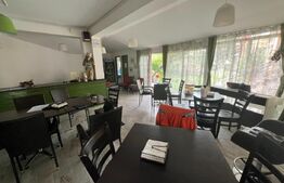 Info de 15 camere, 800 mp, 600 mp teren, prosumator, Copou