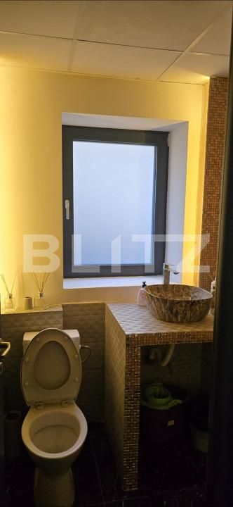 Spațiu comercial de închiriat Nicolina - 146434SIC | BLITZ Iași | Poza5