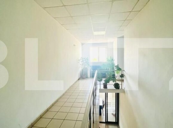 Spațiu birouri de închiriat Tatarasi - 146456SIB | BLITZ Iași | Poza6