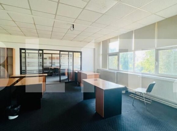 Spațiu birouri de închiriat Tatarasi - 146456SIB | BLITZ Iași | Poza3
