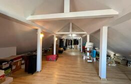 Casa de 311 mp utili, 3 nivele, 862 mp teren, zona Bucium