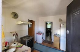 Casa individuala, 170 mp, 300 mp teren, Bucium