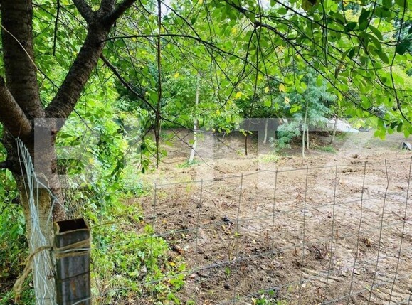 Teren de vânzare Copou - 146480TV | BLITZ Iași | Poza2