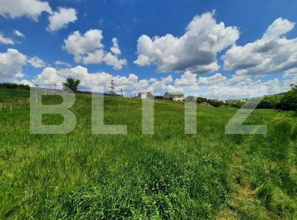 Teren de vânzare Strugurilor - 146481TV | BLITZ Iași | Poza6