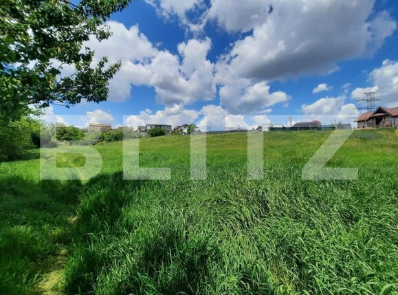 Teren de vânzare Strugurilor - 146481TV | BLITZ Iași | Poza3