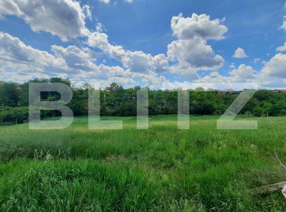 Teren de vânzare Strugurilor - 146481TV | BLITZ Iași | Poza1