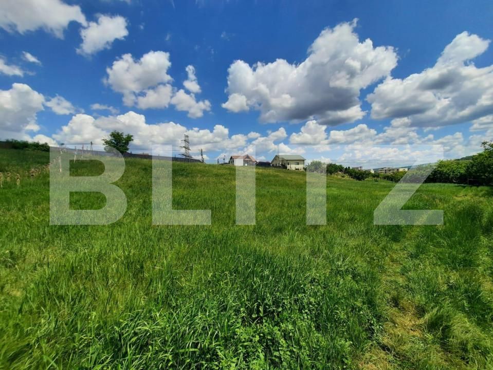 Teren de vânzare Strugurilor - 146481TV | BLITZ Iași | Poza6