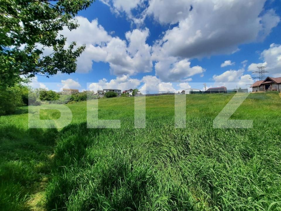 Teren de vânzare Strugurilor - 146481TV | BLITZ Iași | Poza3