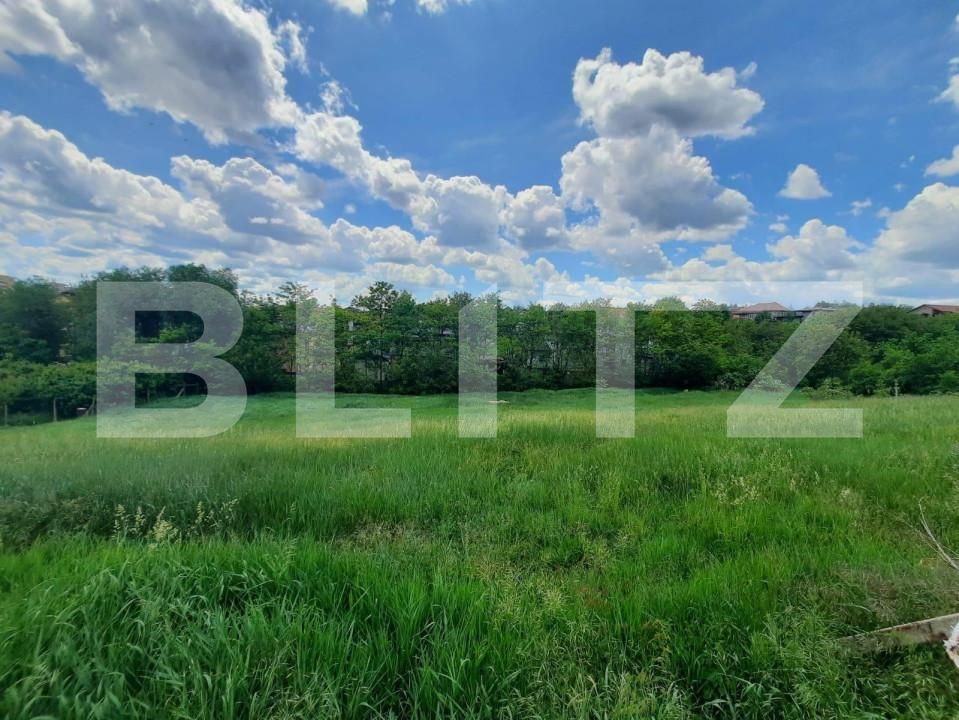 Teren de vânzare Strugurilor - 146481TV | BLITZ Iași | Poza1