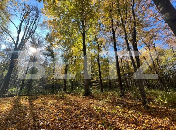 Teren de vânzare Ciric - 146485TV | BLITZ Iași | Poza1