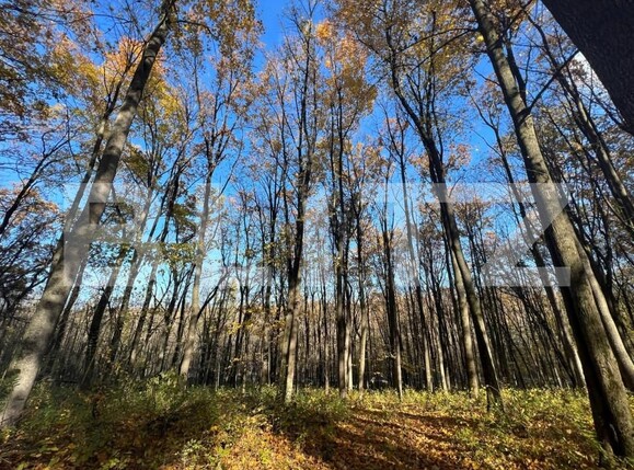 Teren de vânzare Ciric - 146485TV | BLITZ Iași | Poza3
