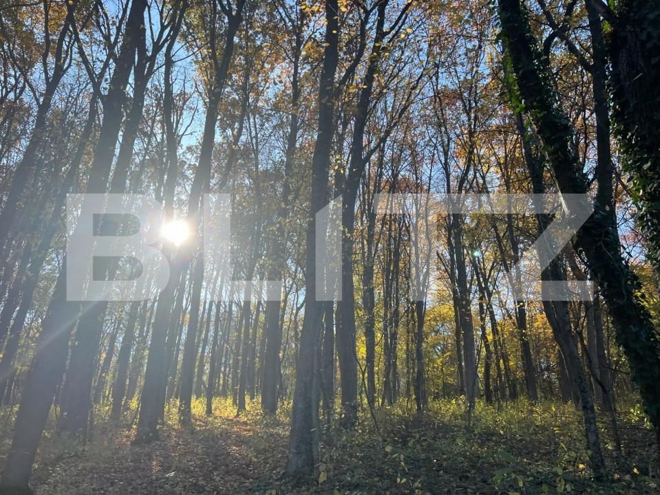 Teren de vânzare Ciric - 146485TV | BLITZ Iași | Poza2