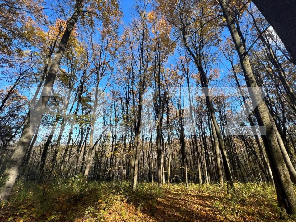 Teren de vânzare Ciric - 146485TV | BLITZ Iași | Poza3