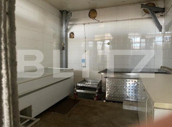 Spațiu industrial de închiriat Cug - 146490SII | BLITZ Iași | Poza3