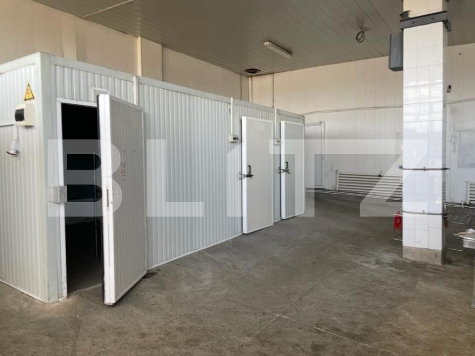 Spațiu industrial de închiriat Cug - 146490SII | BLITZ Iași | Poza2