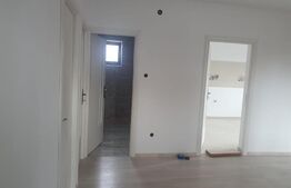 Casa 3 camere plan parter în Horpaz