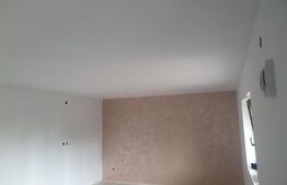 Casa 3 camere plan parter în Horpaz