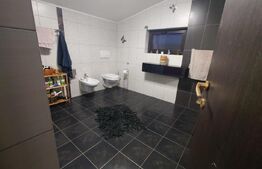 Casa premium 6 camere, 274 mp util, 440 mp teren, Hlincea