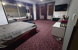 Casa premium 6 camere, 274 mp util, 440 mp teren, Hlincea