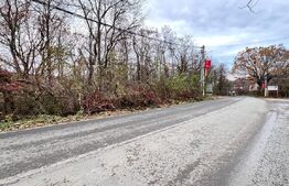 Teren, 1200mp, strada principala Barnova