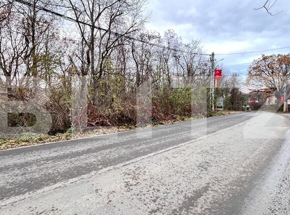 Teren de vânzare Barnova  - 149259TV | BLITZ Iași | Poza2