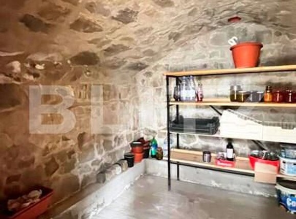 Casa de vânzare 4 camere Bogonos - 149260CV | BLITZ Iași | Poza11