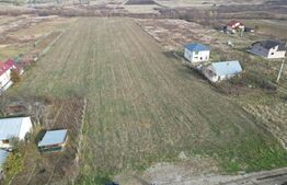 Teren, 5400 mp, Ciurea