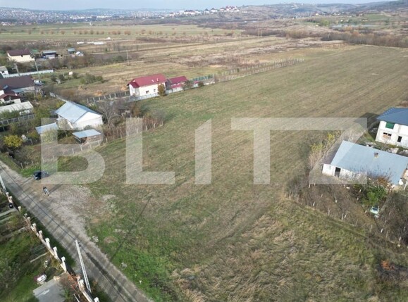 Teren de vânzare Ciurea - 149263TV | BLITZ Iași | Poza2