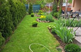 Casa 4 camere, 200 mp util, 1300 mp teren, Sculeni