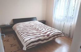 Casa 4 camere, 200 mp util, 1300 mp teren in proprietate, Sculeni