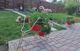 Casa 4 camere, 200 mp util, 1300 mp teren, Sculeni