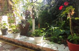 Casa 4 camere, 107 mp utili, la strada, 535 mp teren, Letcani