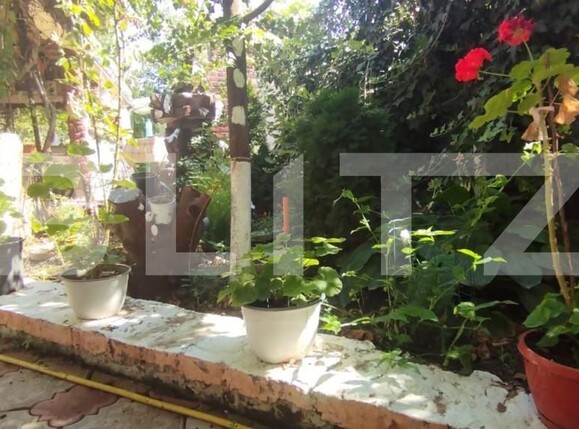 Casa de vânzare 4 camere Letcani - 149278CV | BLITZ Iași | Poza13