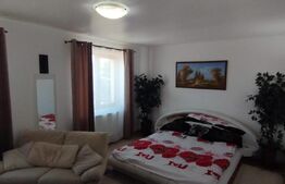 Casa la strada, 240 mp utili, 350 mp teren, Rediu