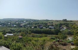 Casa la strada, 240 mp utili, 350 mp teren, Rediu