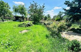 Casa cu 7 camere, 400 mp, 1500 mp de teren, Breazu