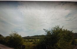 Teren cu 8 ha, intravilan, toate utilitatile, Ciurea