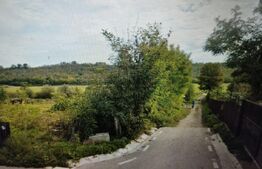 Teren 3 ha, intravilan, Ciurea