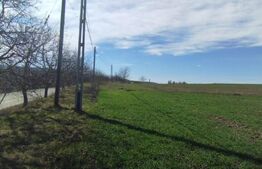 Teren 6500mp Holboca, la strada principala